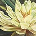 florals by Eberhart