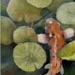 koi painting