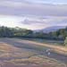 Karen Fedderson fine art print